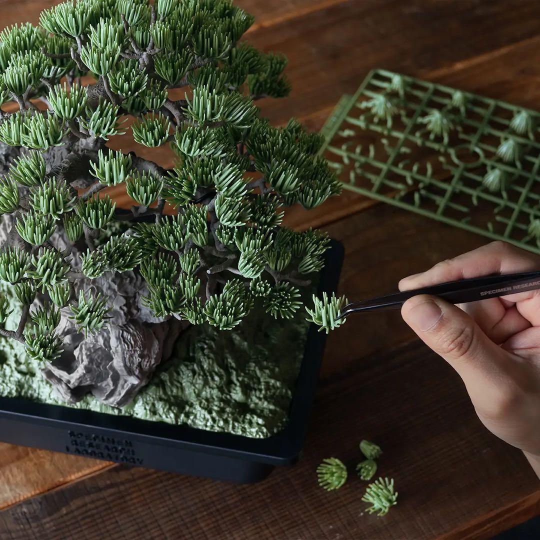 その他 SRL X BANDAI SPIRITS BONSAI MODEL KIT