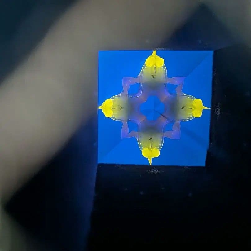 代永正樹 万華鏡 1点物