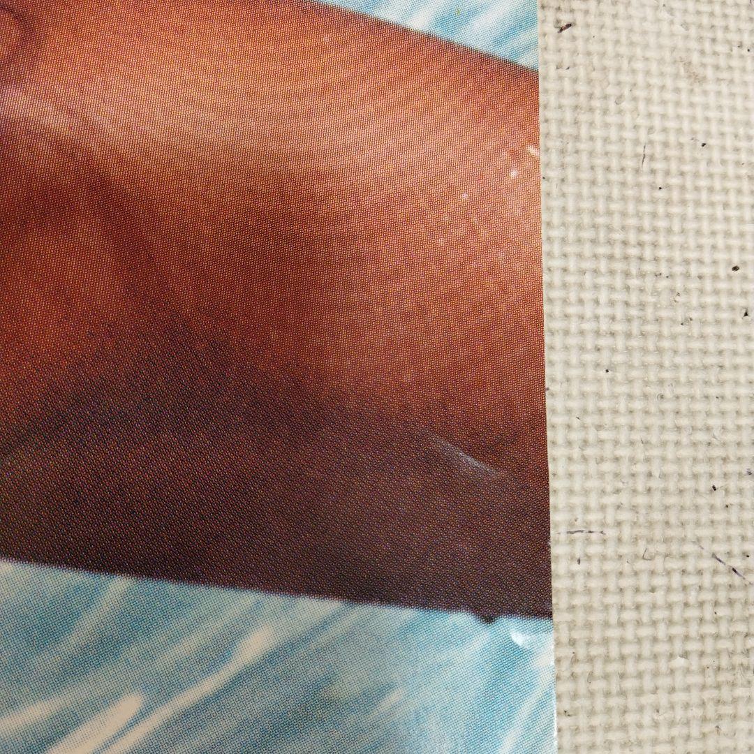 資生堂　エレン・マリー・ミモリ　ポスター　約73×51.5センチ