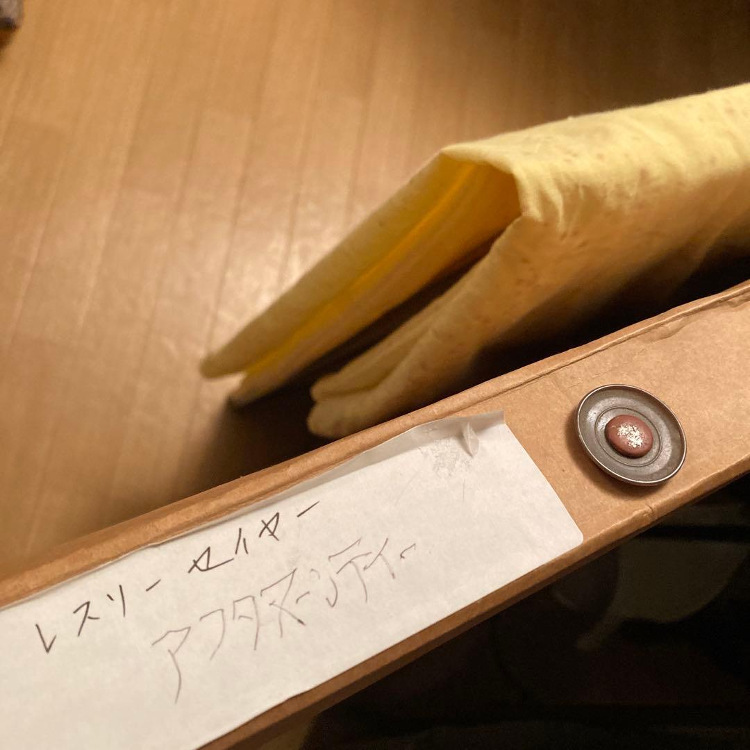 レスリーセイヤー　シルクスクリーン