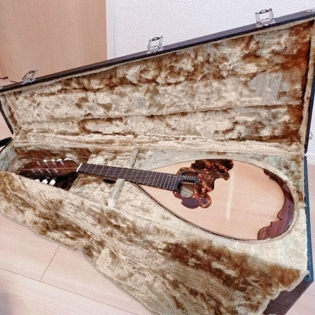 マンドリン　S.Watanabe 渡辺精次 高級　ハードケース付