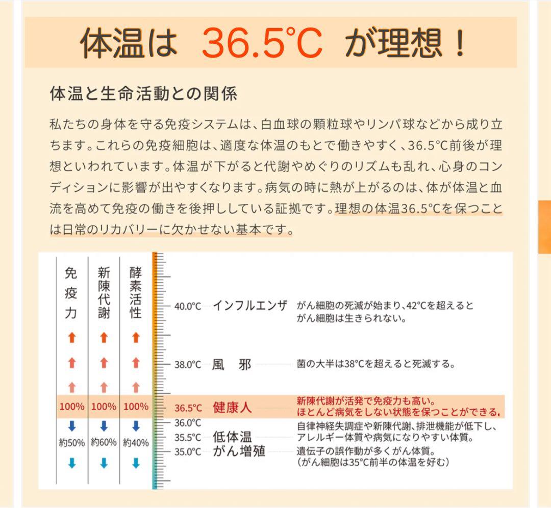 【新品未使用】ルーヴルドー　復元ウォーマー ロングレッグ グレー　温活