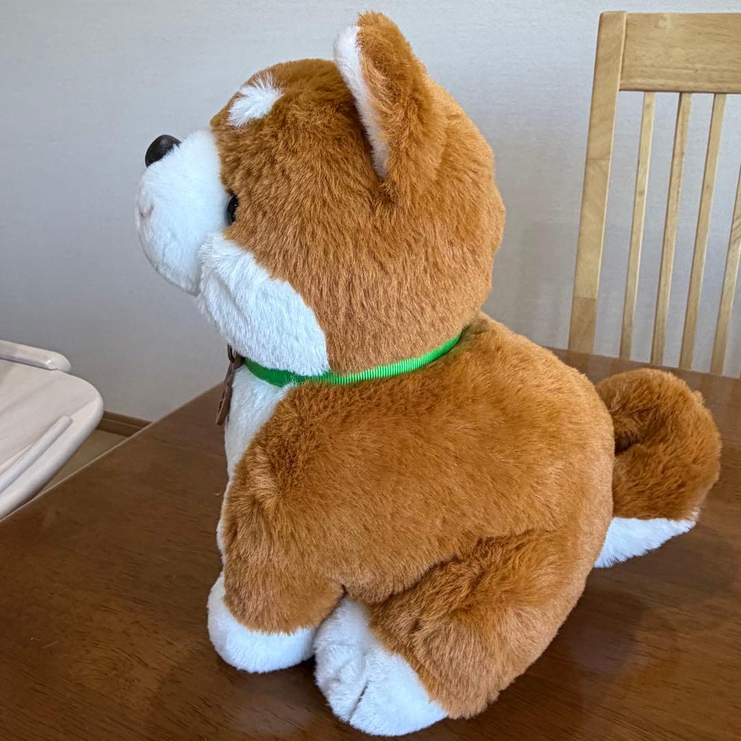 しばいぬコウタ　おしゃべりぬいぐるみ