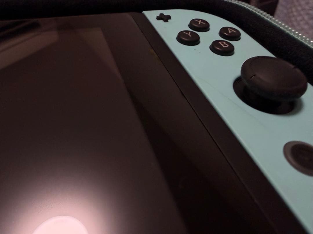 Nintendo Switch あつまれ どうぶつの森セット 中古