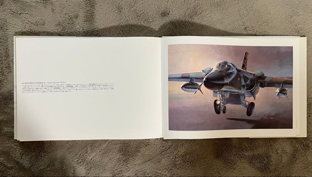 小池繁夫 FLYOVER フライオーバー 航空イラスト作品集 美品 ソニー