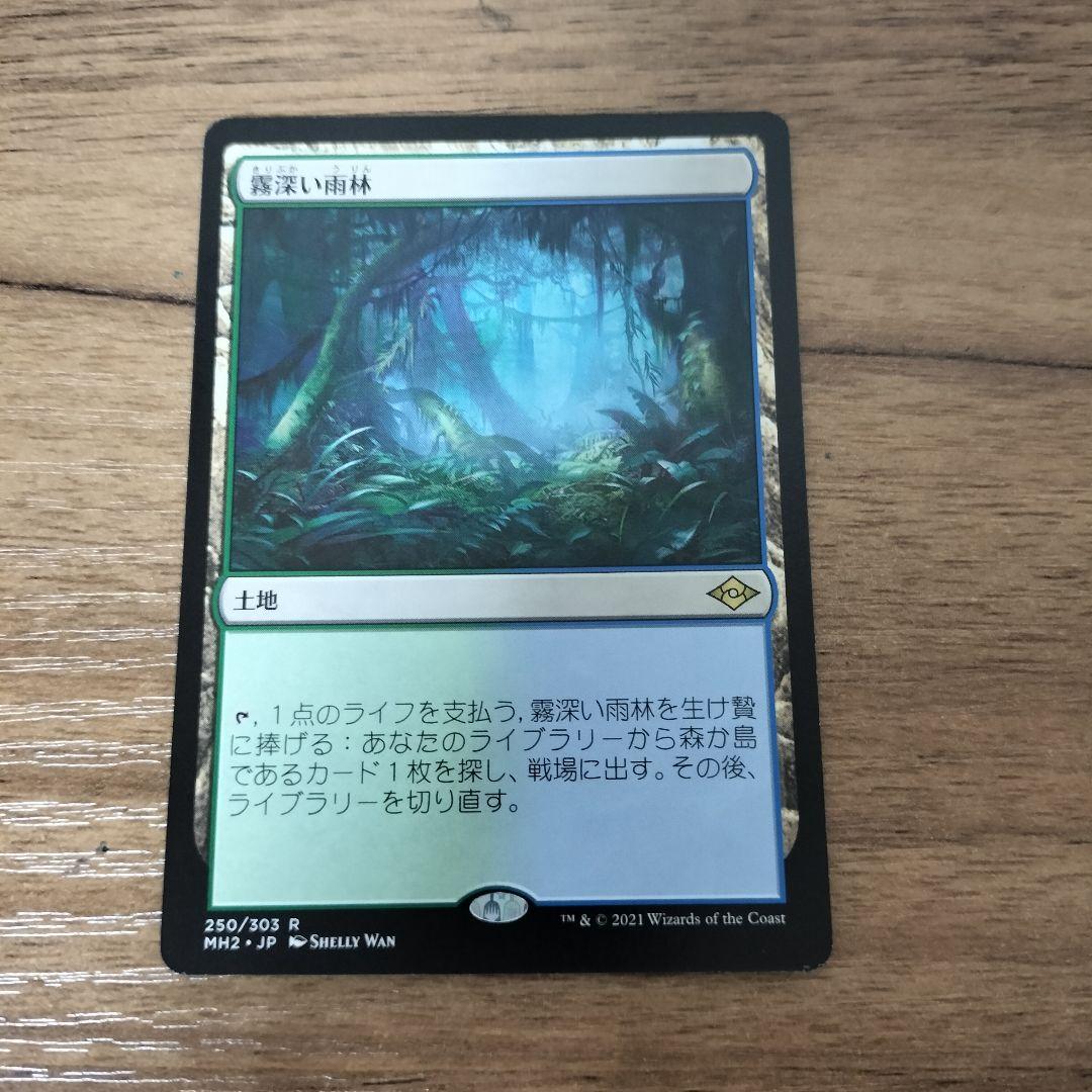 MTG 日本語 霧深い雨林 4枚セット ドラブ モダンホライゾン2