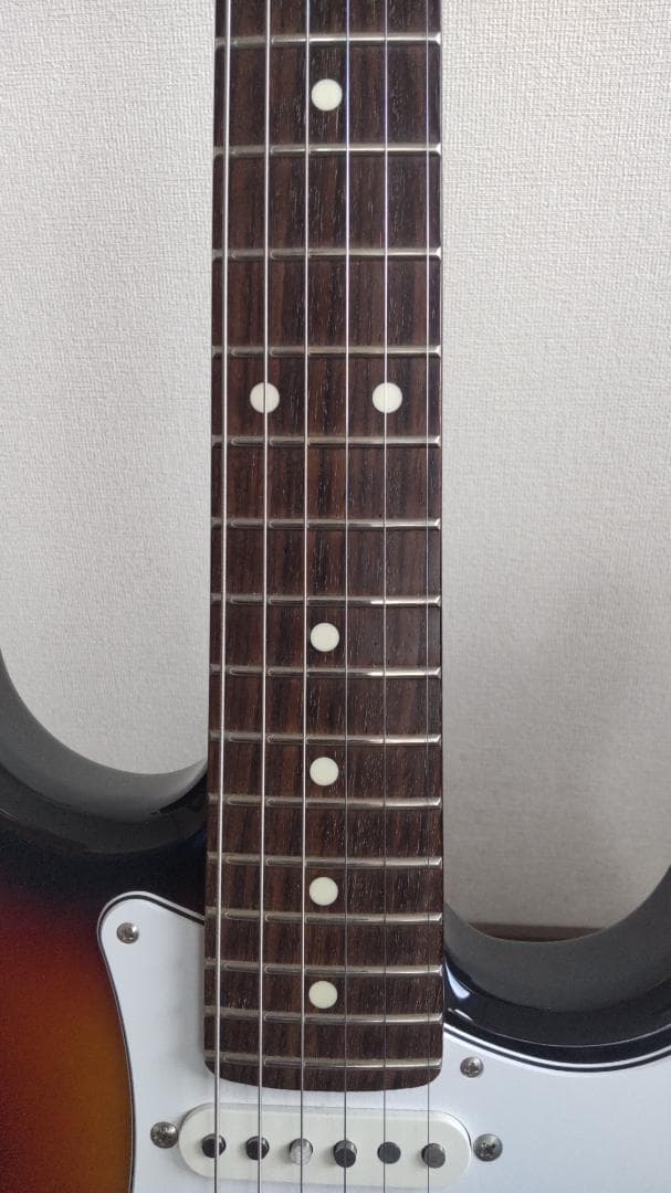 フジゲン JST-6R J-Classic バッグ付 日本製