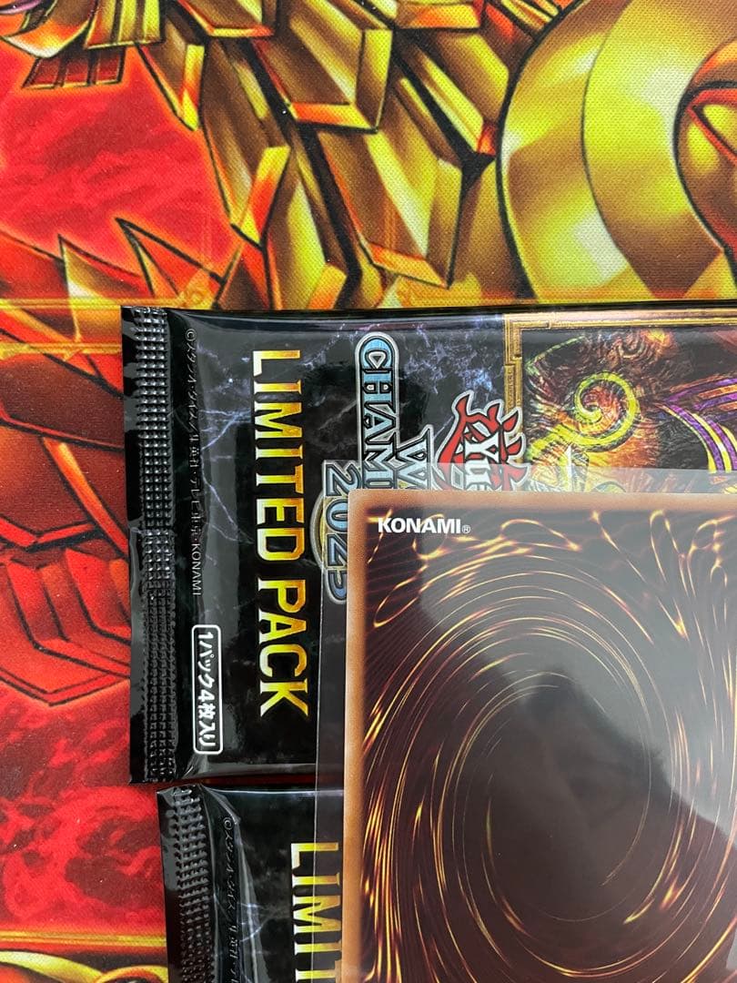 遊戯王 封印されしエクゾディア WCS2025 シクロゴあり