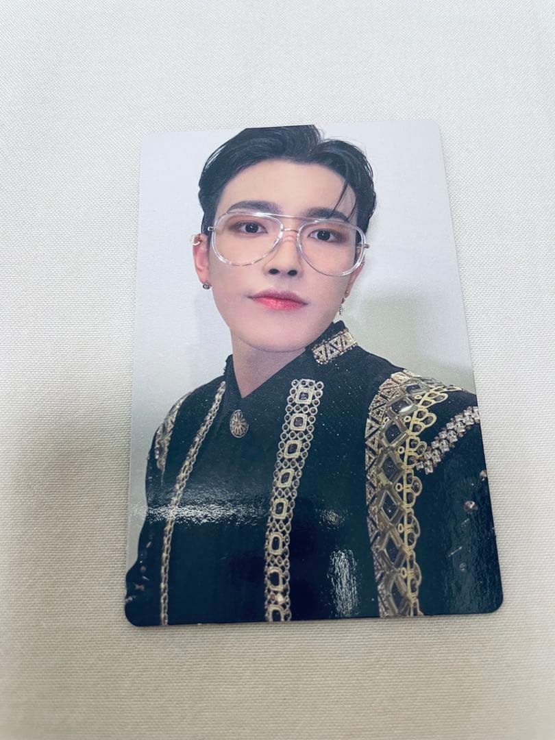 蝶標本 フルニェルミイロタテハ 単品