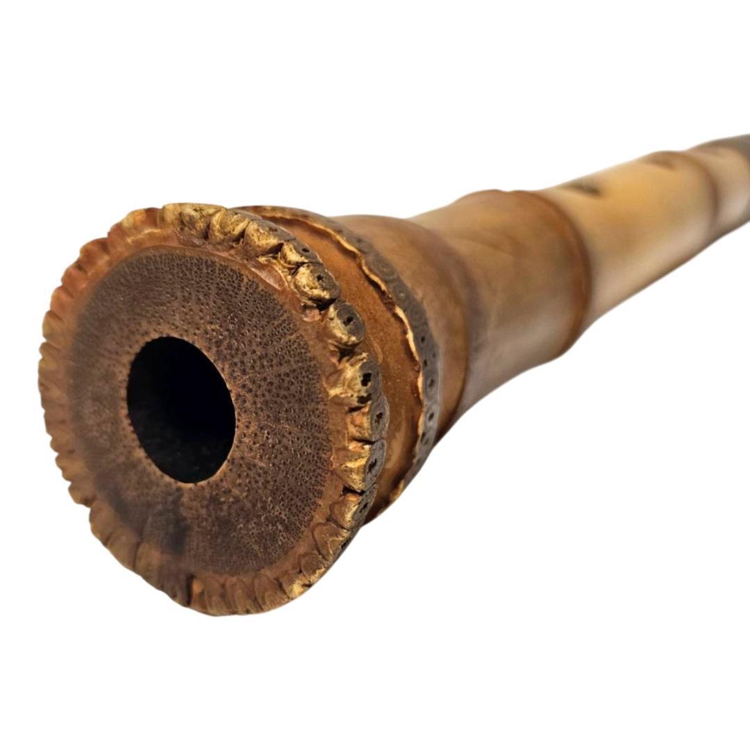 尺八 都山流 1尺8寸 5孔 D調 太管 根付