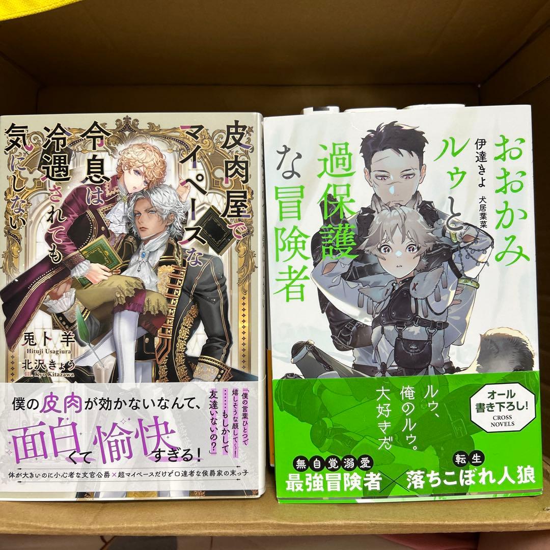 bl 小説纏め売り 大判サイズ15冊セット