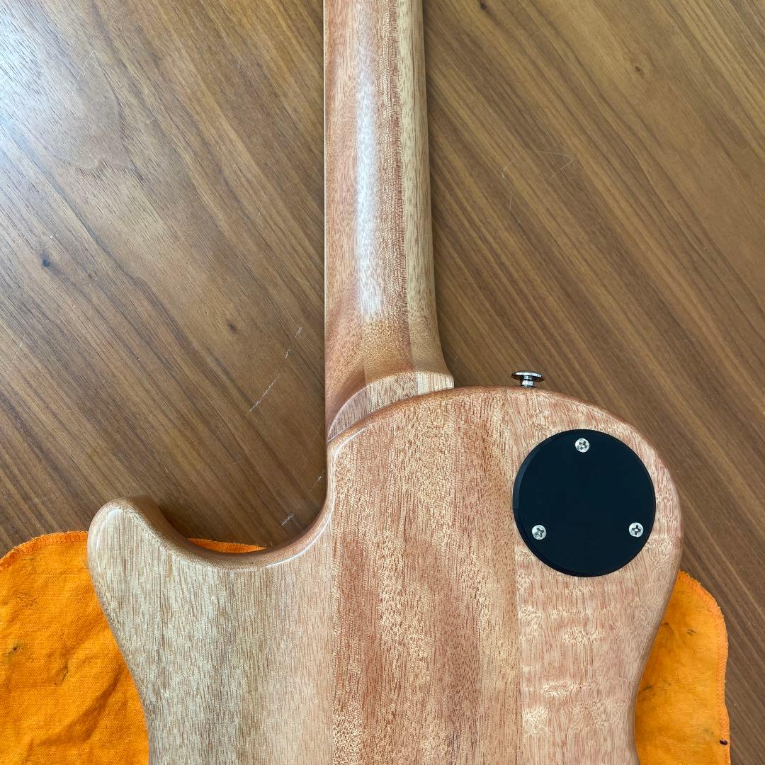 PRS SE Zach Myers 良木目 美品 楽器・機材