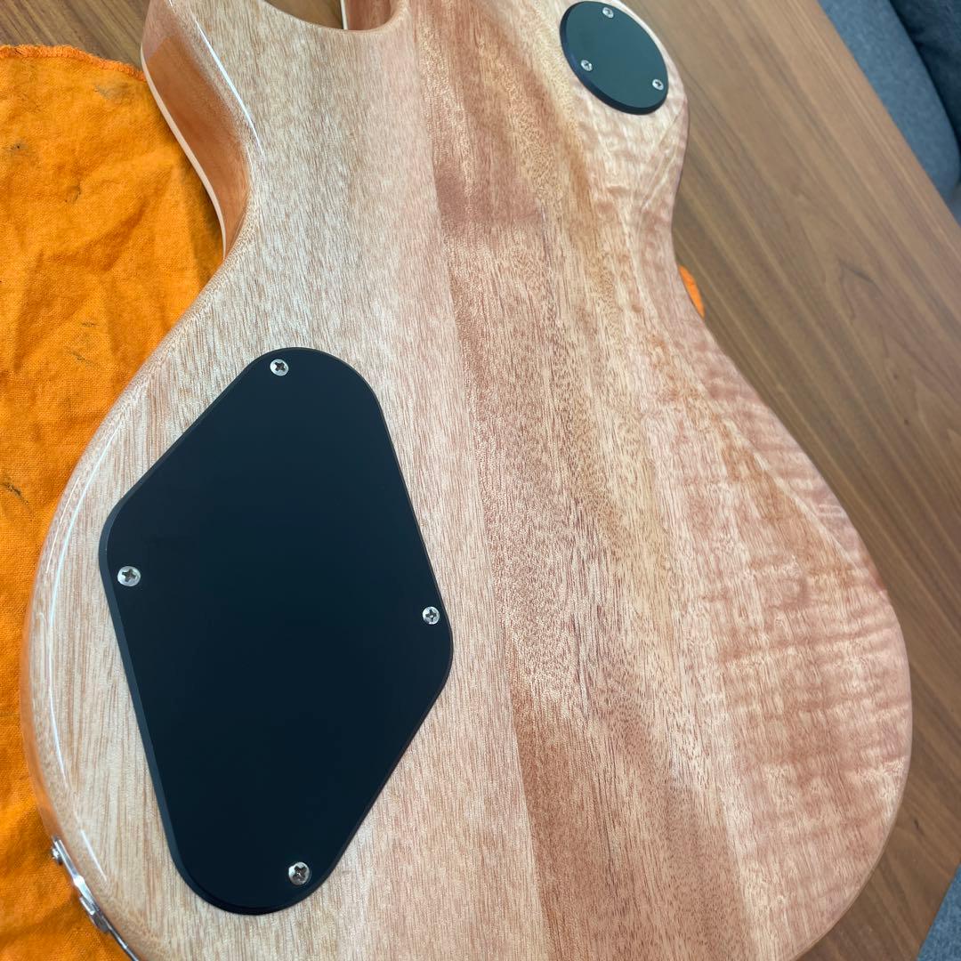 PRS SE Zach Myers 良木目 美品 楽器・機材