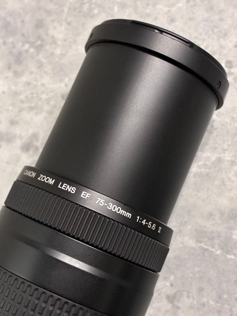 ⭐️美品⭐️キャノン Canon EF 75-300mm F/4-5.6 II 望遠