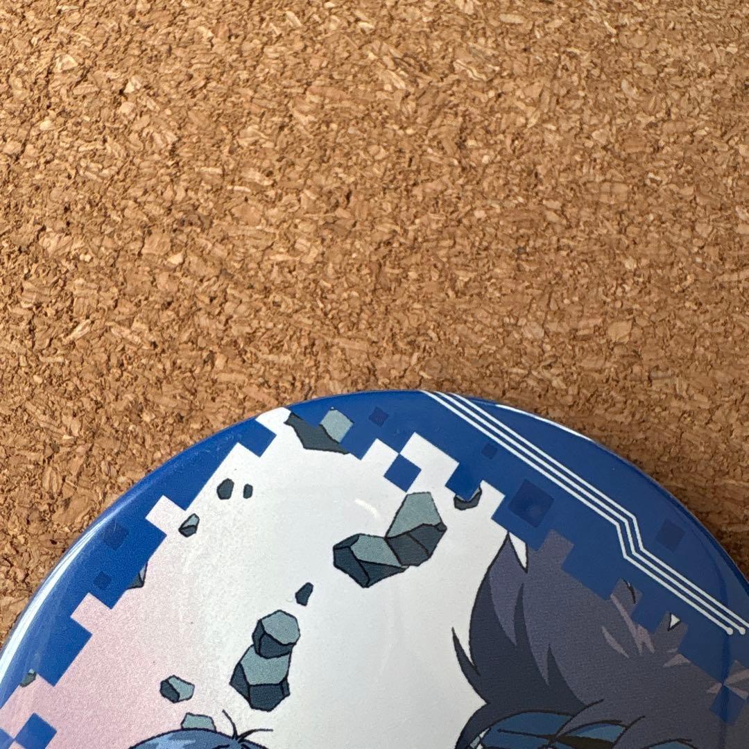 デジモン　20周年記念　ドでか缶バッジ　八神太一　　　 八神ヒカリ　無印