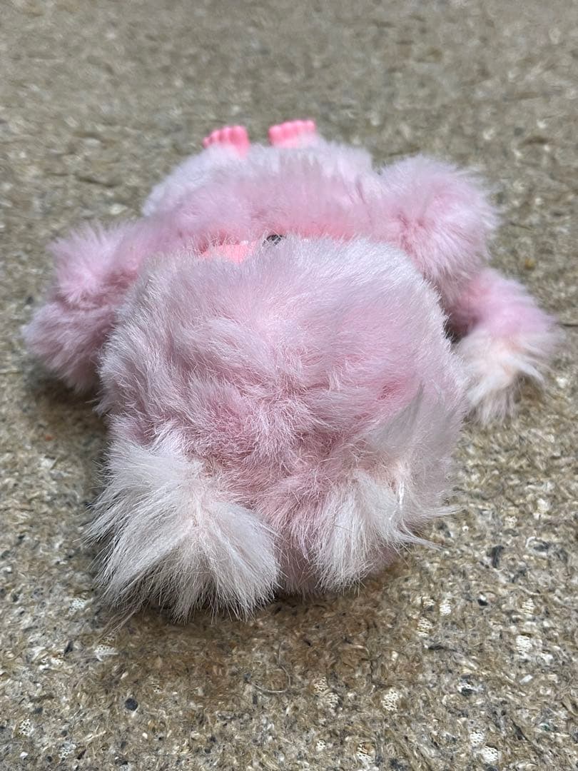 モンチッチ レア 3体セット