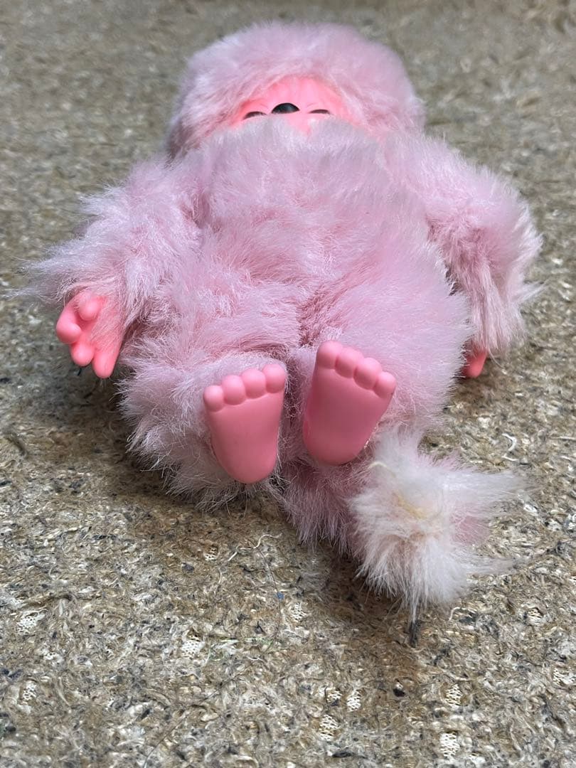 モンチッチ レア 3体セット