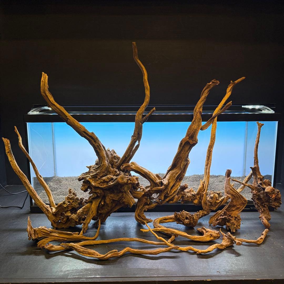 MSRW-7080 天然流木レイアウトセット スリムウッド アクアリウム