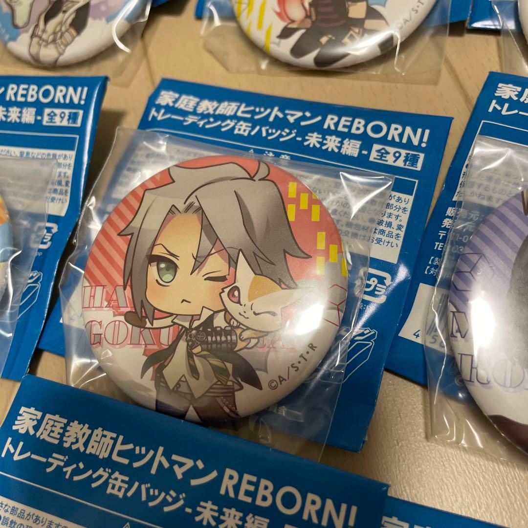 全9種コンプ】家庭教師ヒットマンREBORN！トレーディング缶バッジ 未来編