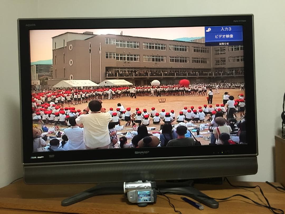 良品 撮影再生ダビングOK　Canon　DM-FV　M20　付属品豪華