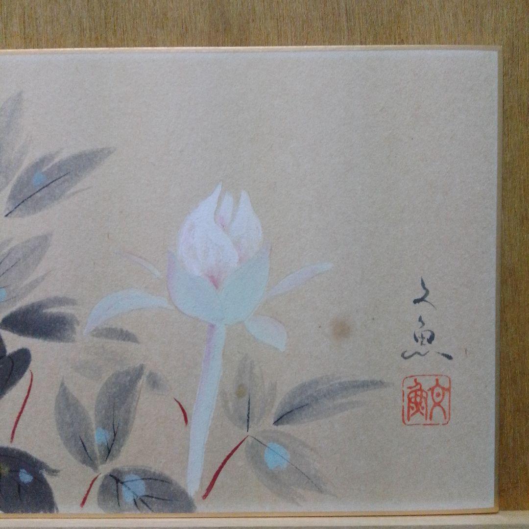 日本画 牡丹 中谷文魚 手描き 色紙 額付き