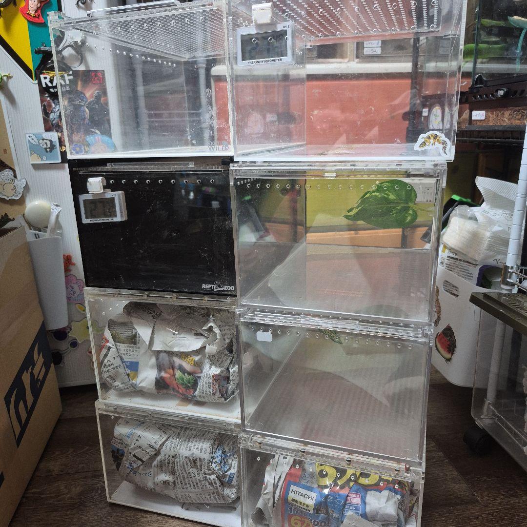 セール中 中古レプタイルボックス8個セット セール中 中古レプタイルボックス8個セット - メルカリ