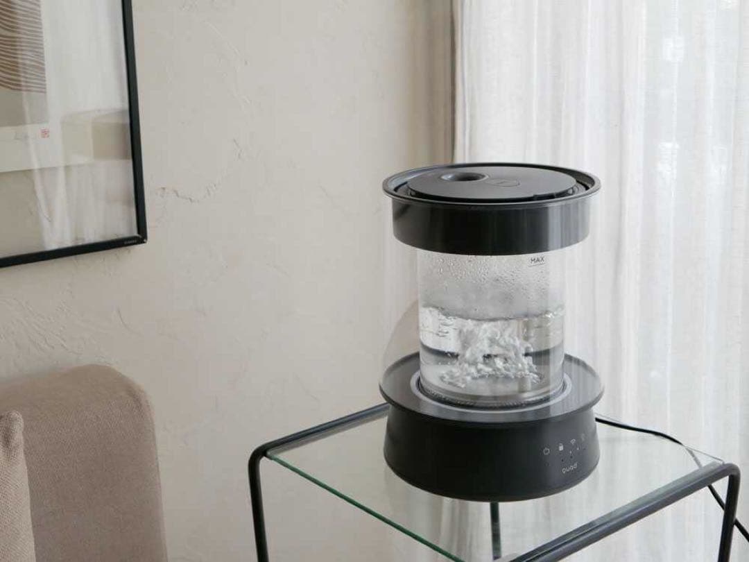 新品未開封」QUADS GLASS クワッズ ガラス 加湿器 本田翼 - メルカリ