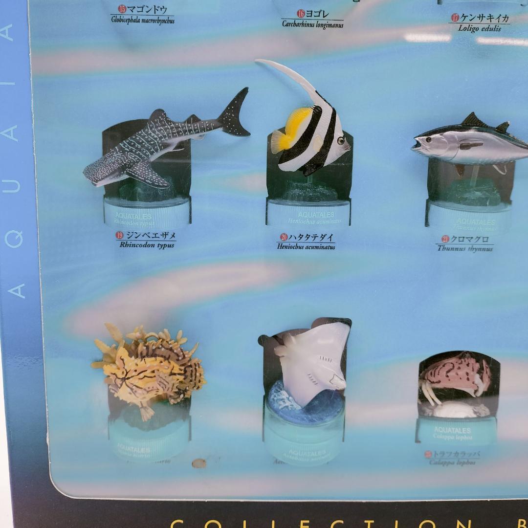 【非売品】黒潮コメッコ 第2弾 販促用 BOX アクアテイルズ フィギュア