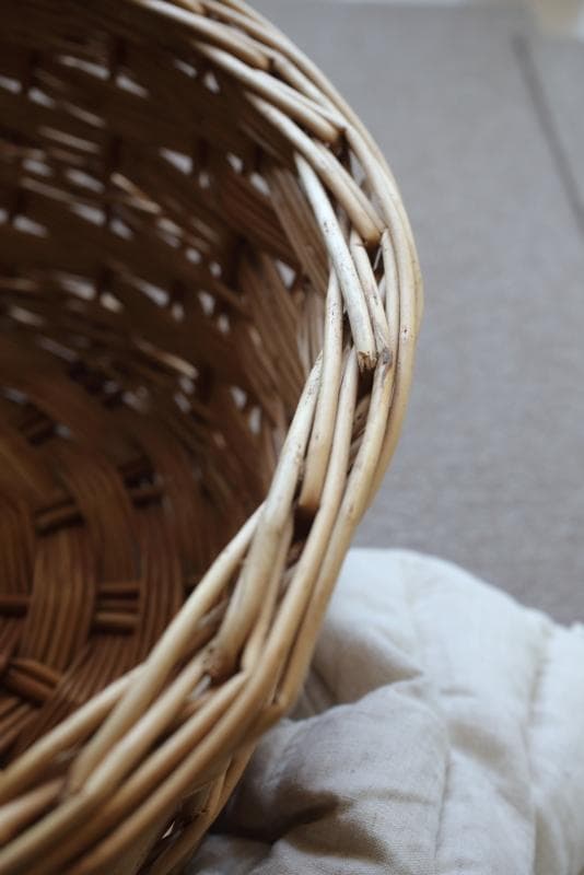 イギリス アンティーク風な柳のベッド 犬用 猫 ウサギ キャリー バスケット