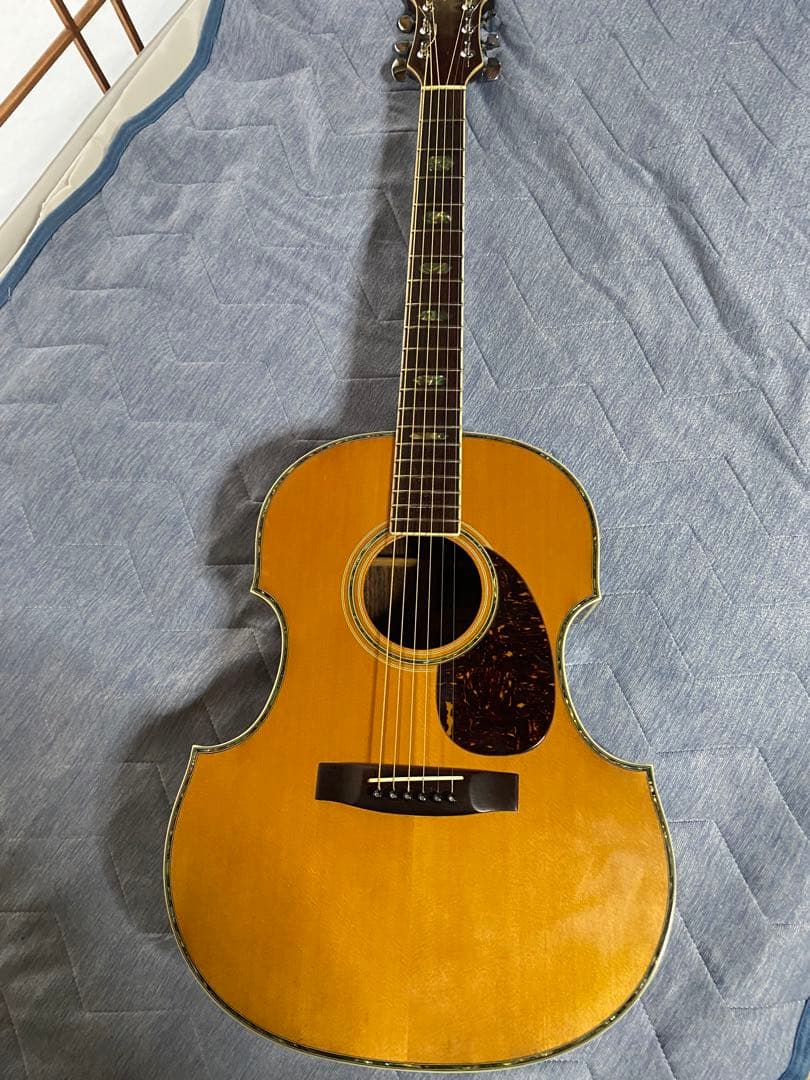 JAGARD VF600(VP60) バイオリンシェイブギター JAGARD VF600(VP60) バイオリンシェイブギター