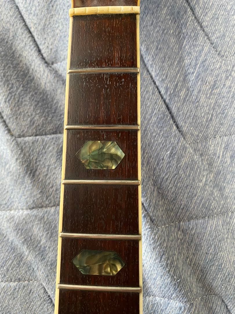 JAGARD VF600(VP60) バイオリンシェイブギター