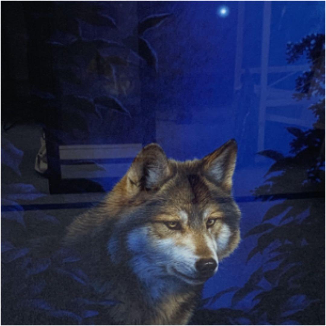 ☆狼 青い森 絵、版画 真作 ジョウナイトウ直筆 オオカミ 版画 動物