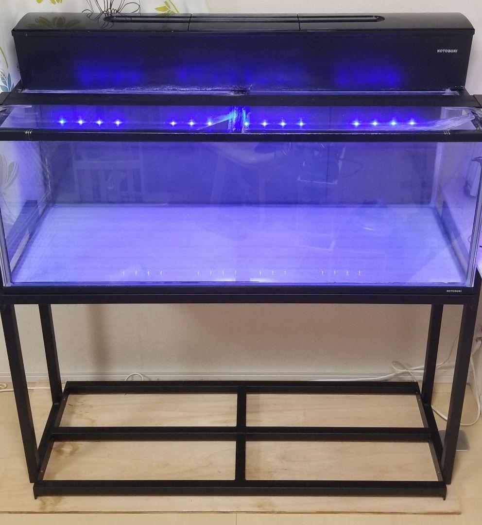 引き取り限定】水槽5個＋水槽台＋ライト等……全てセットでお願いします