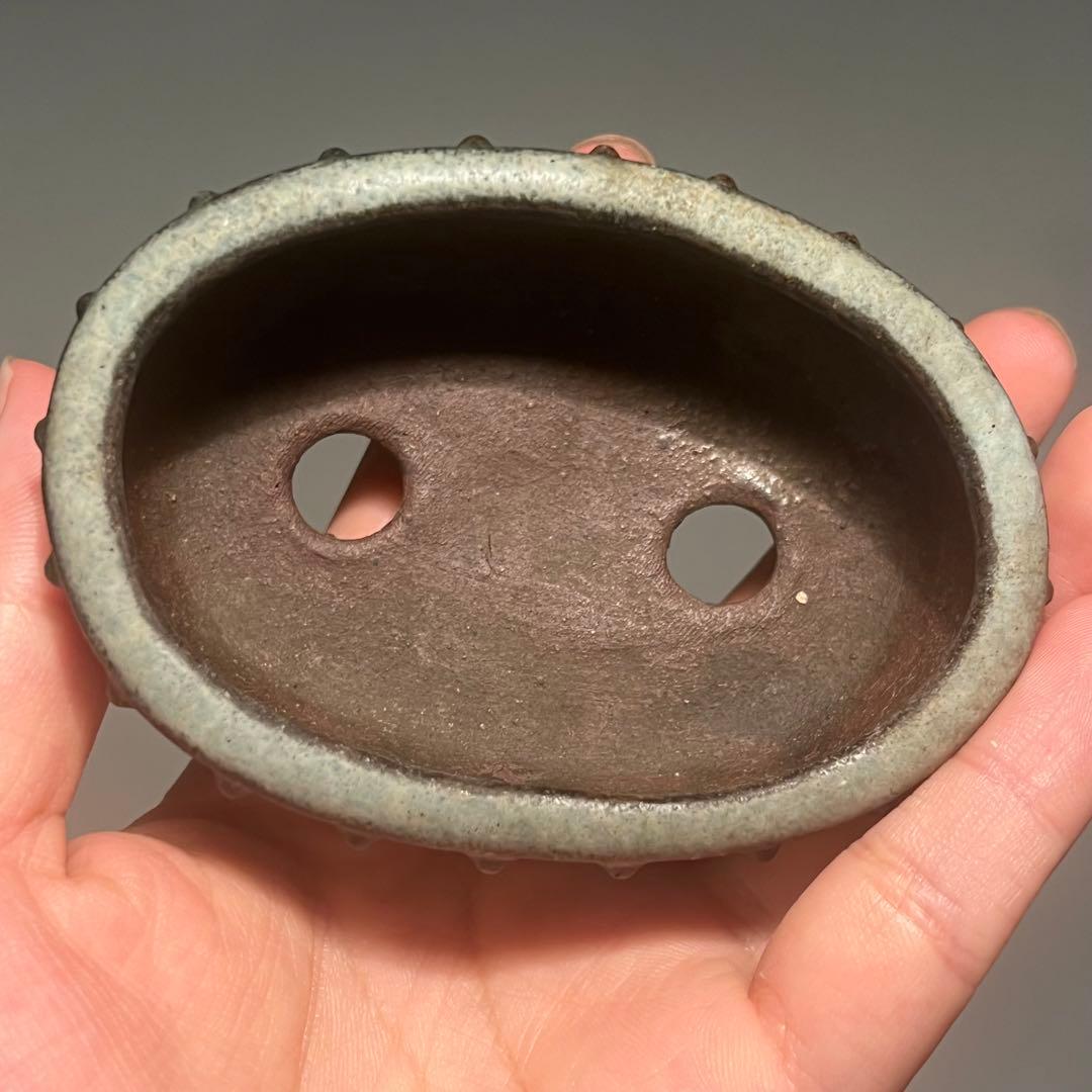 767.暁雲 鼓釘楕円 盆栽鉢 植木鉢 9.4*6.6*3.2cm