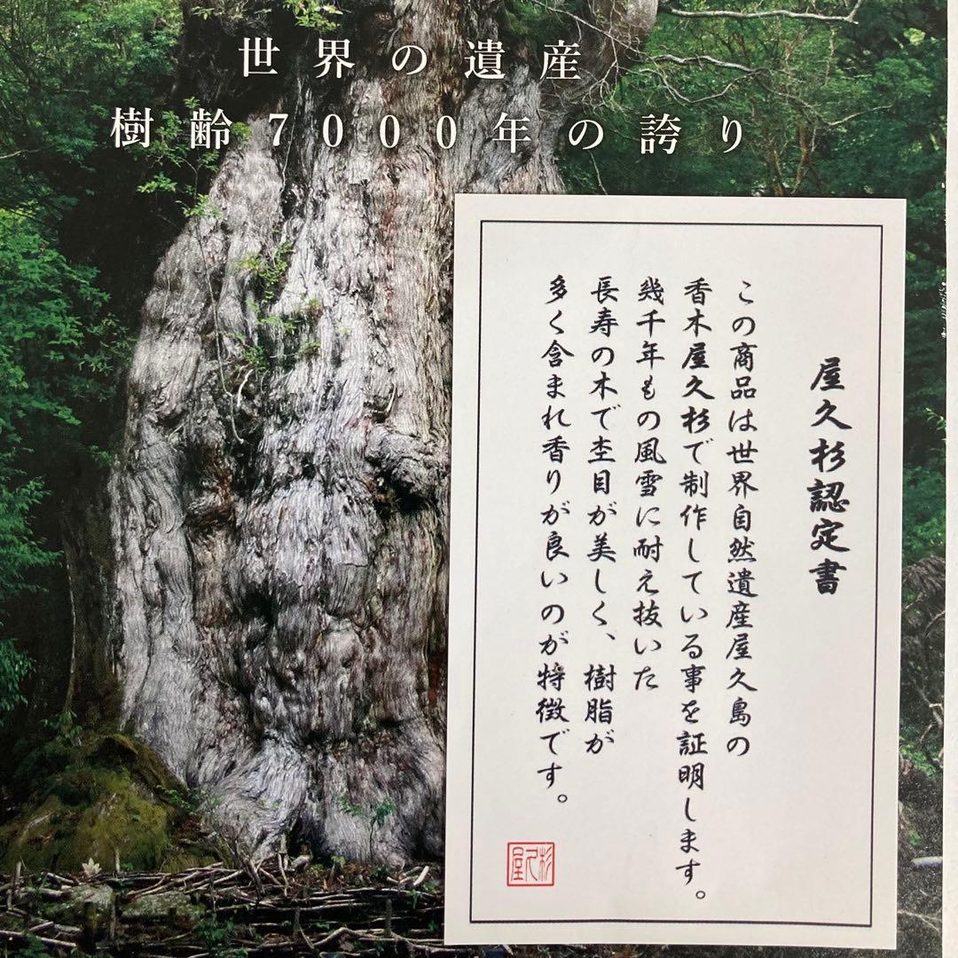 【1点限り】精麻と古代樹たちのころっと勾玉ブレスレット