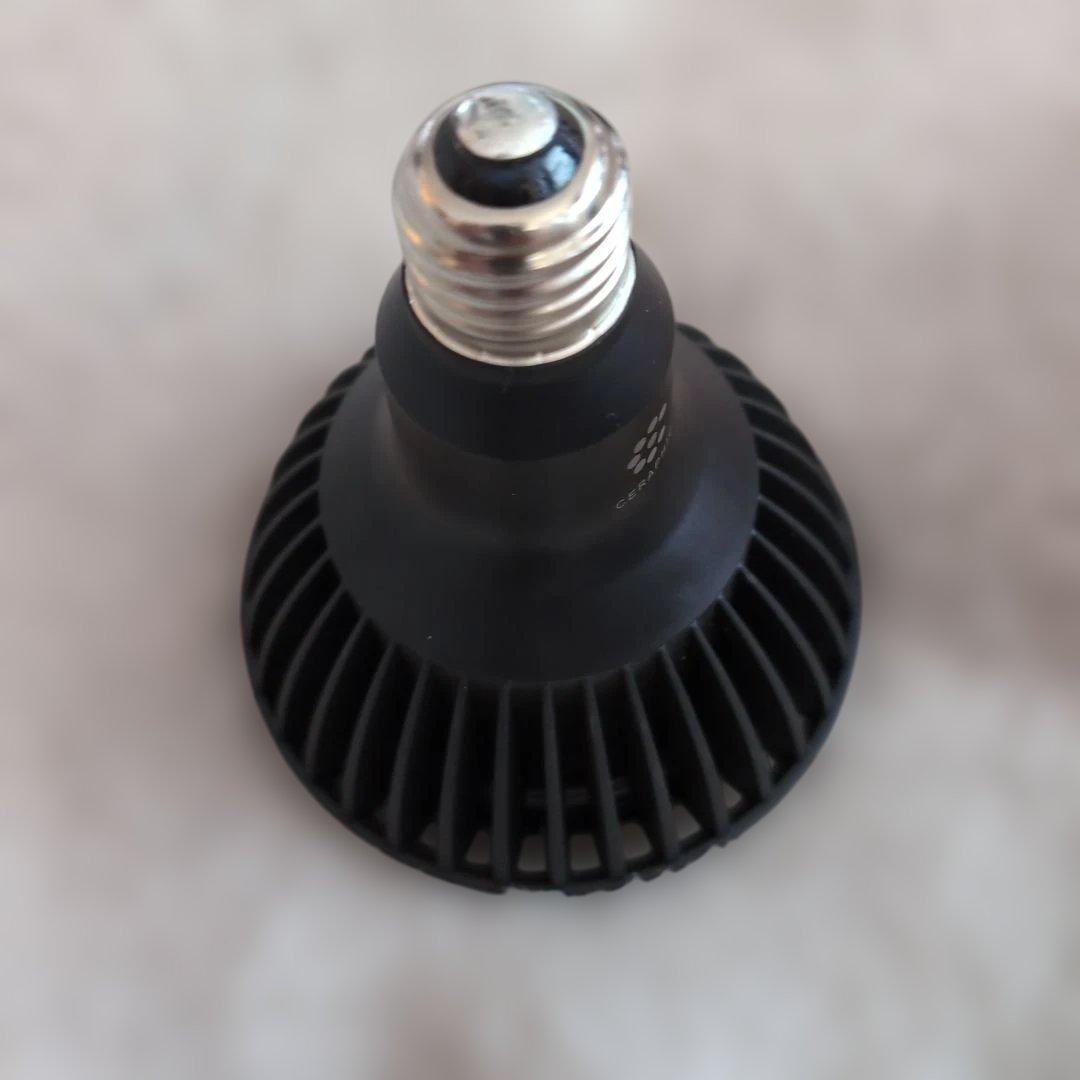 京セラ CERAPHIC いきもの電球 5000K(昼白色) 広角 京セラ CERAPHIC いきもの電球 5000K(昼白色) 広角 : アクアテイラーズ