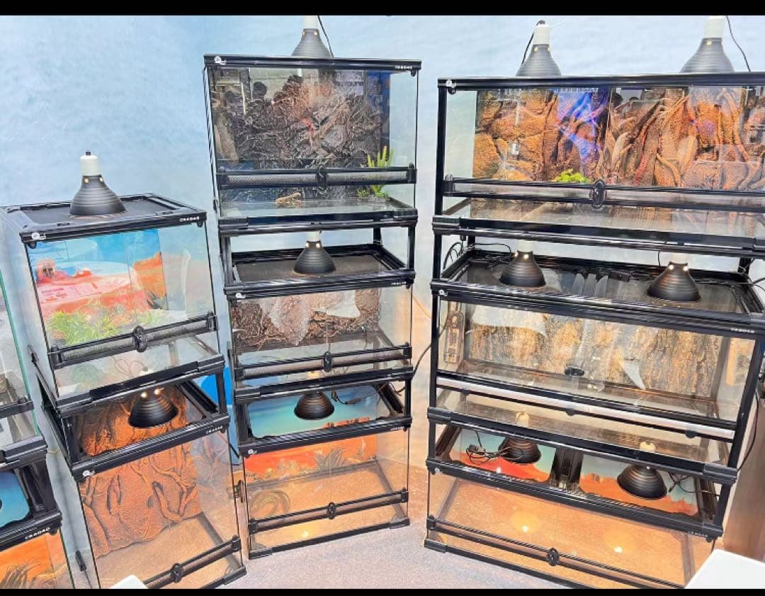 ケージ爬虫類60x45x45cm両生類飼育組み立て式 ガラス飼育ケージ 送料