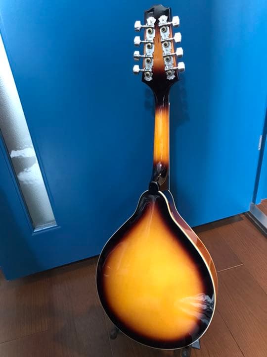 PLAYTECH フラットマンドリン