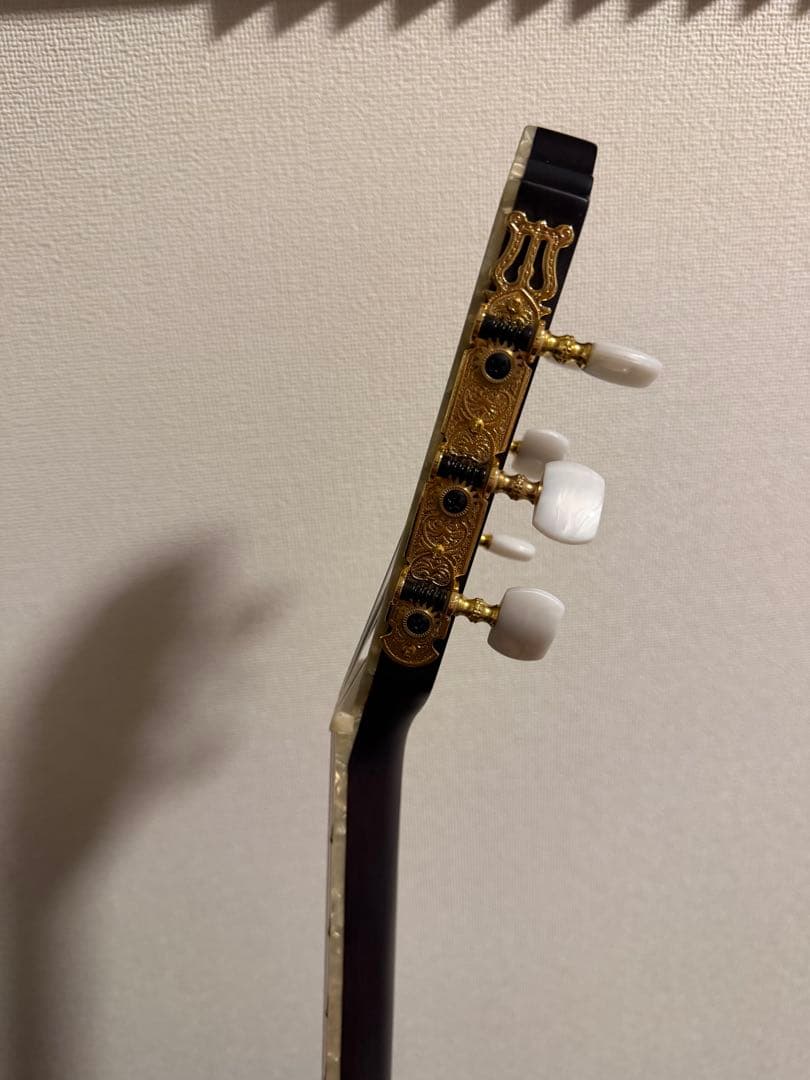 Ibanez TOD10N-TKF Tim Hensonモデル ナイロン弦ギター - メルカリ