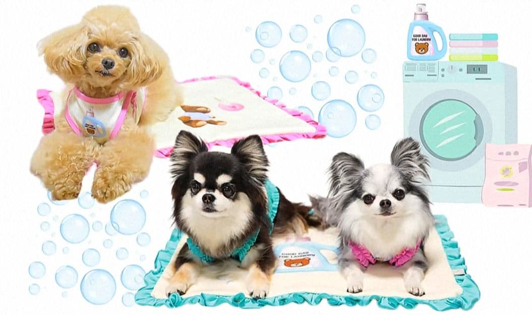 D Laundry Bearフリルタンク＆マット セット circusサーカス