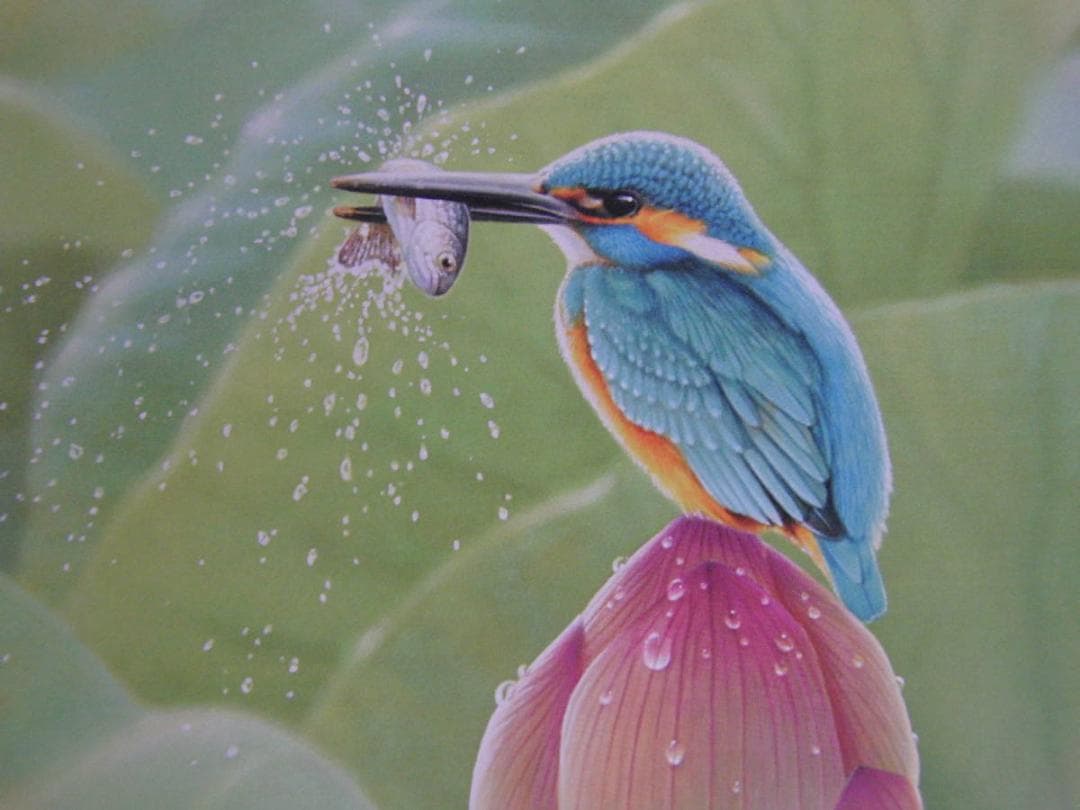 山地司、【蓮とカワセミ1】、希少な額装用画集より、厳選、新品額装