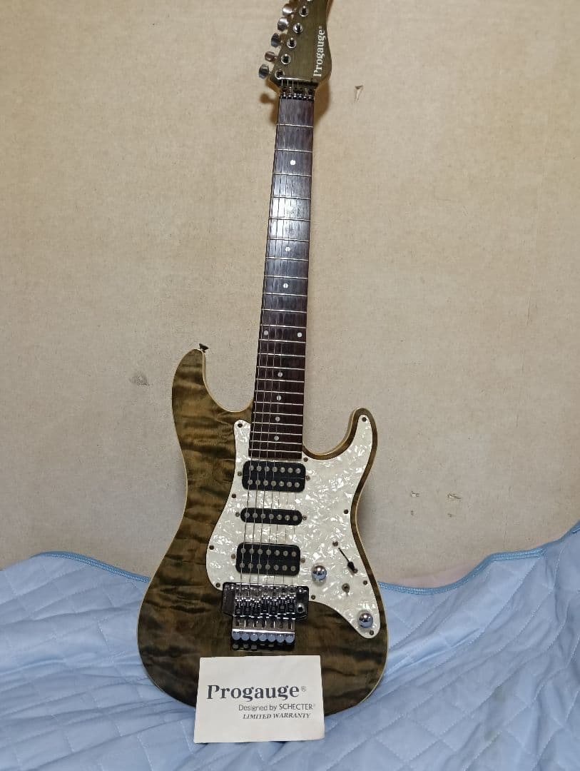 シェクター7弦ギター by progaeuge(プロゲージ)