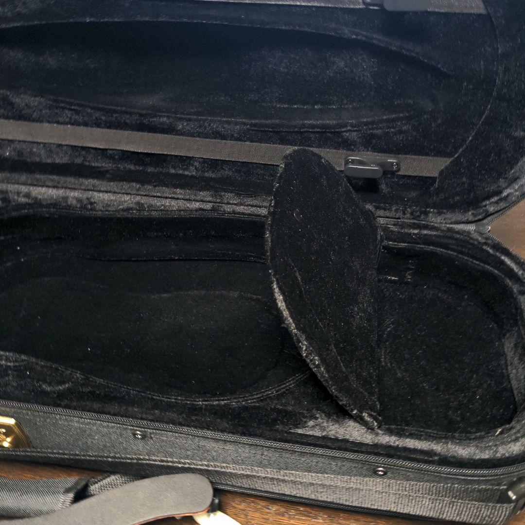 エレクトリックバイオリン 　ケース付き　キクタニ　esv 380