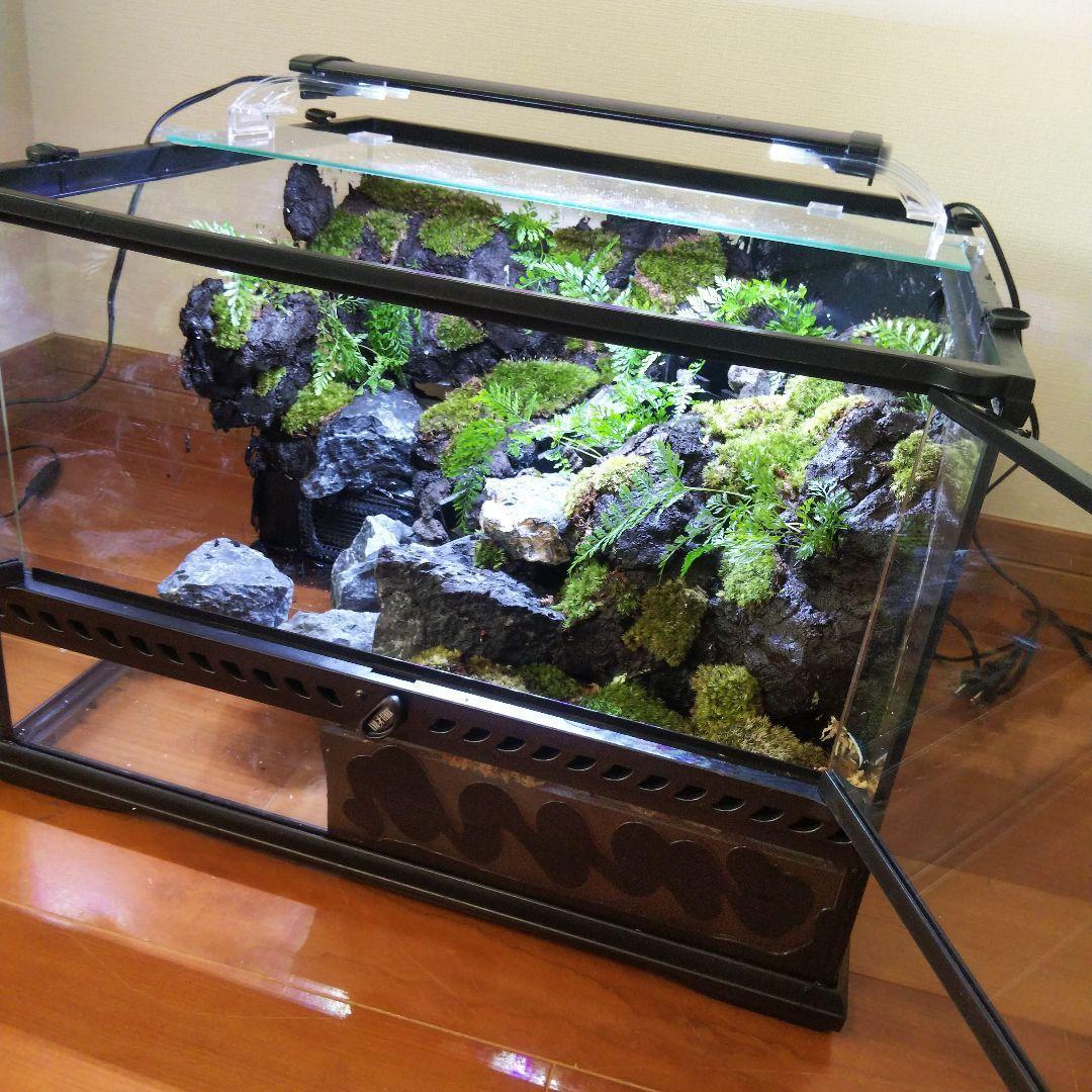 受注生産】滝のあるアクアテラリウム グラステラリウム 4530イモリウム
