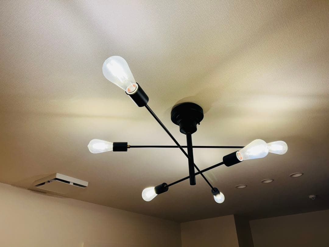 モダン ブラック シーリングライト 6灯