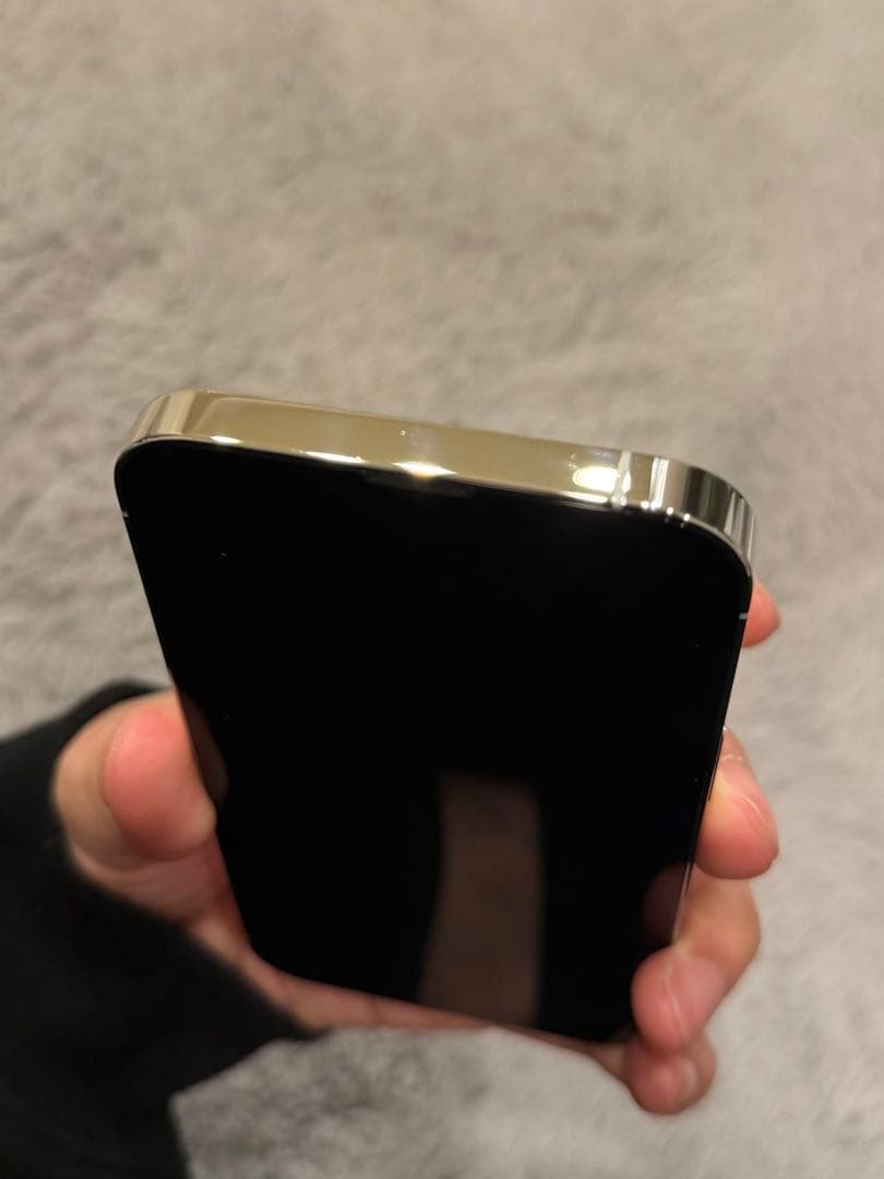 iPhone 13 Pro シルバー 256GB SIMフリー(本体のみ)