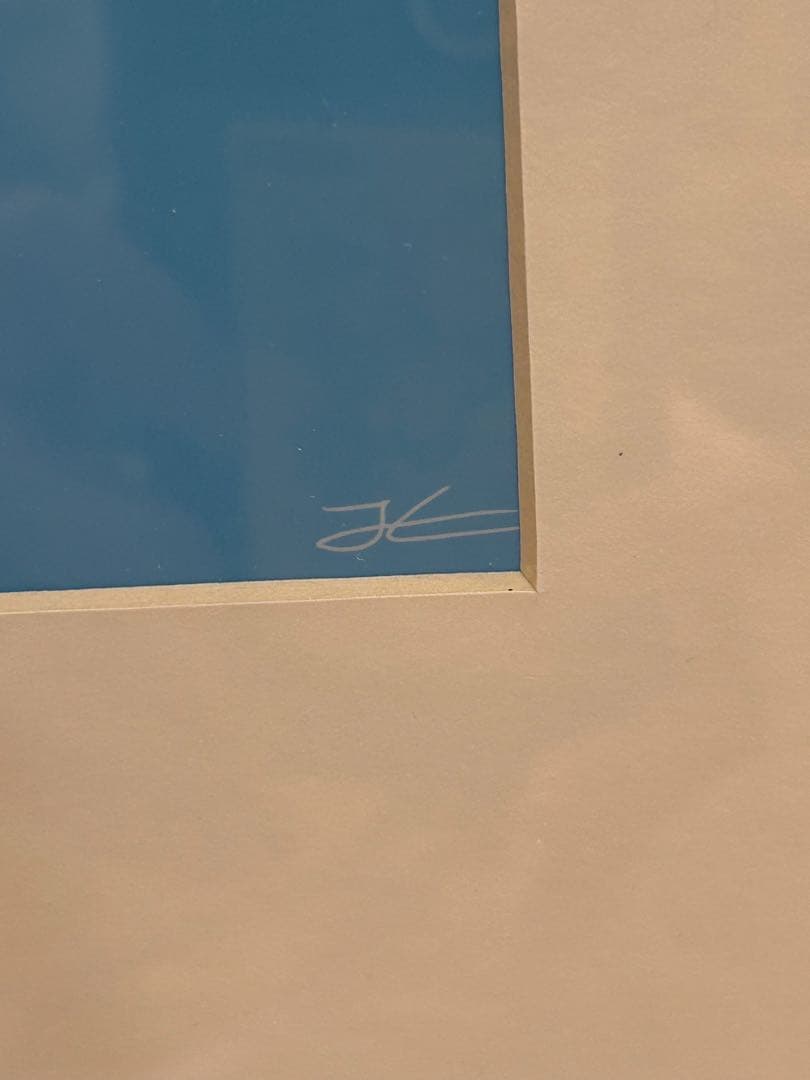 ＜Jonas Claesson＞WHALE SHARK アート