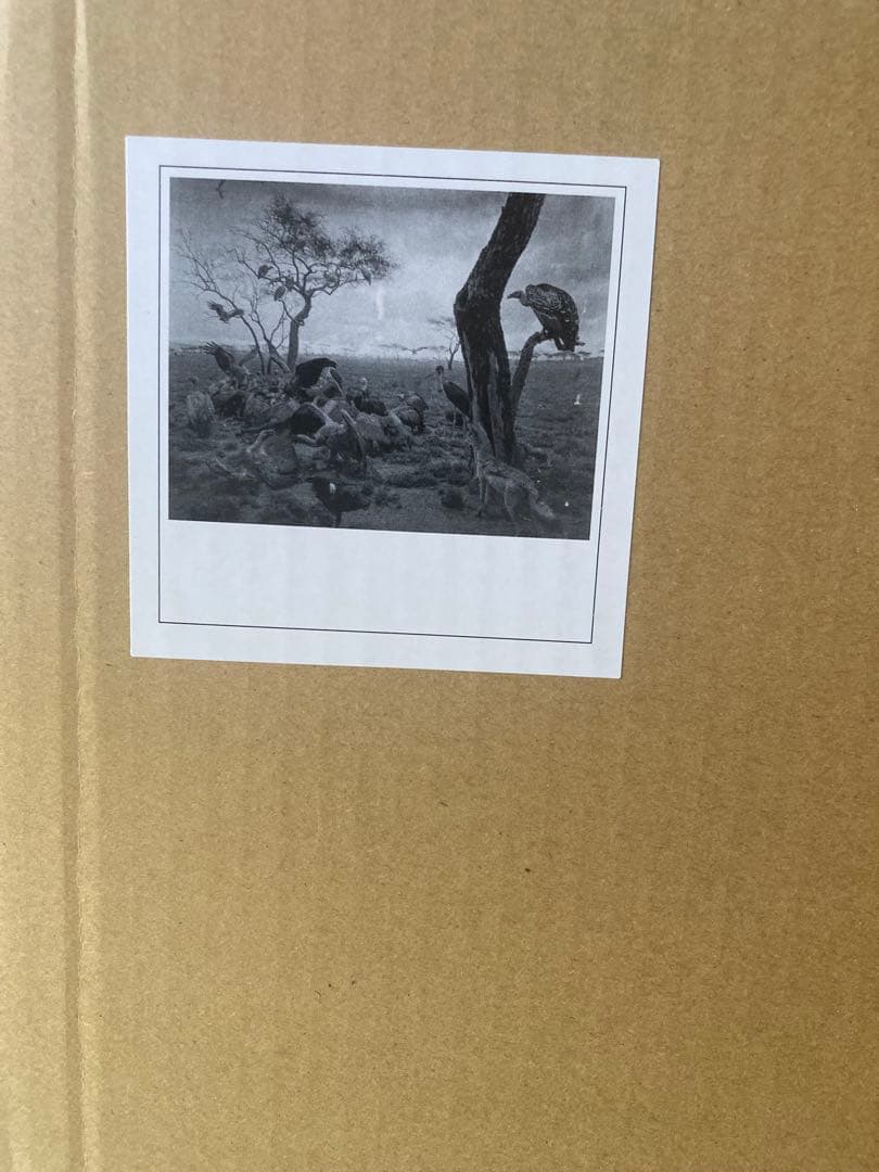 杉本博司 ポスター 『Hyena-Jackal-Vulture』 杉本博司 ポスター 杉本