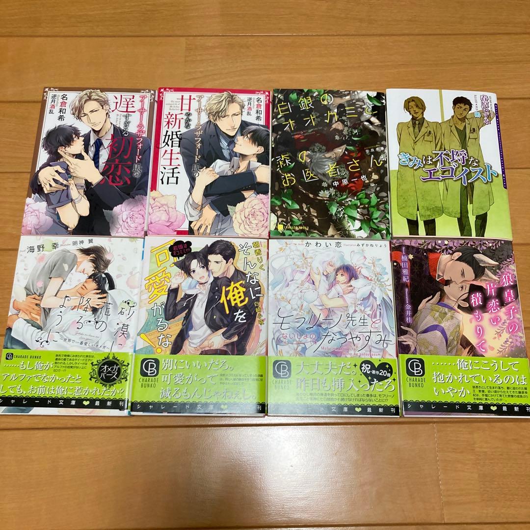 BL小説 全55冊セット まとめ売り - メルカリ