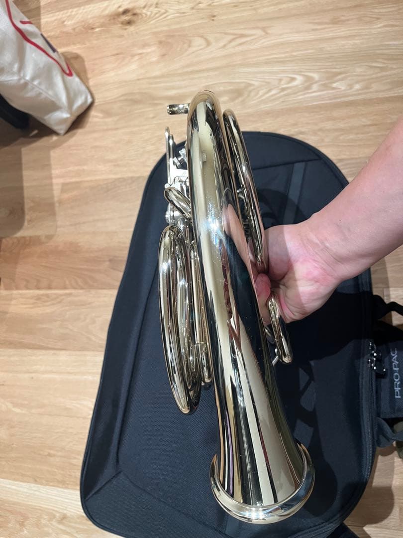 ホルトン フレンチホルン GH479 ケース付き